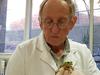 Frog whisper feature

Professor Michael Mahony holds a Green and Golden Bell Frog as PhD candidate and research assistant Rebecca Sceto looks on inside a laboratory at the University of Newcastle, Australia, June 4, 2021. REUTERS/James Redmayne