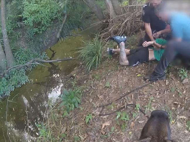 Dog Squad video has been released of the arrest of a man in relation to break and enter offences on the Sunshine Coast.