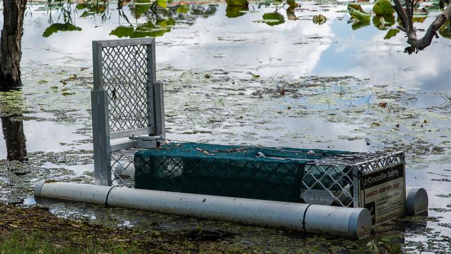 An alleged one metre crocodile was reported at the Marlow Lagoon dog park on January 17. Picture: Pema Tamang Pakhrin