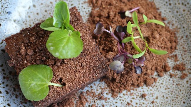 Allotment Cafe’s Brownie. Picture Glenn Hampson