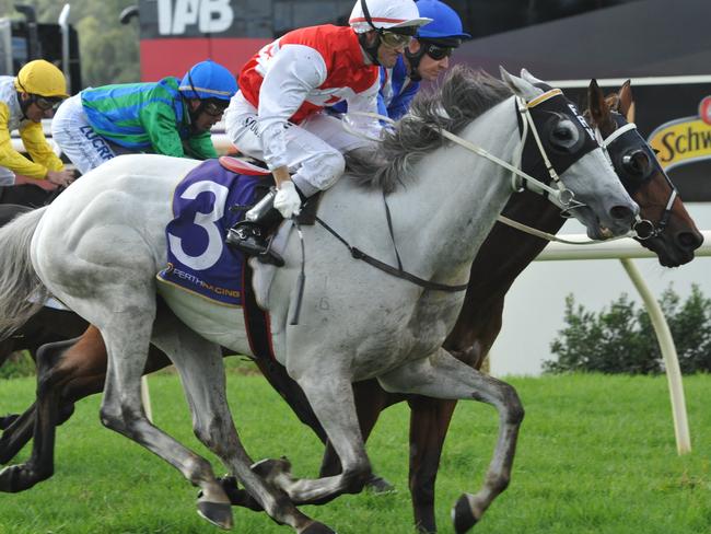 Ask Me Nicely outstays Daneclicked to win the inaugural West Australian Cup.