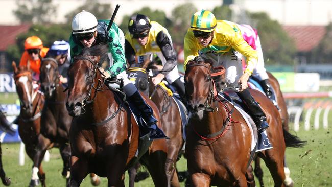 Heavens Above, right, has trained on well since winning the Coolmore Classic.