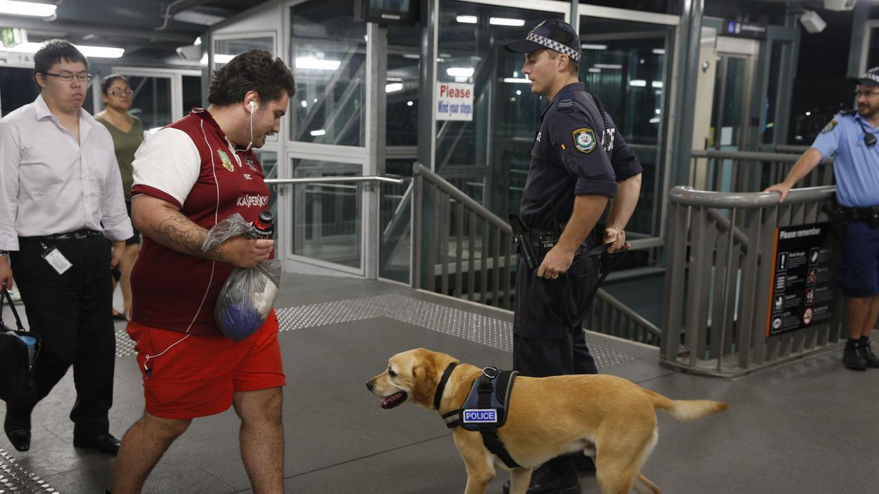 Drug dogs are a common sight at Sydney train stations.