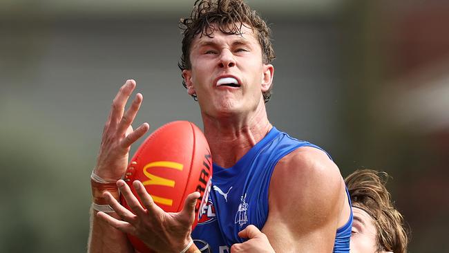 MELBOURNE . 18/02/2023.  AFL . North Melbourne intra club practise match at Arden street Oval.  Charlie Comben marks  . Pic: Michael Klein