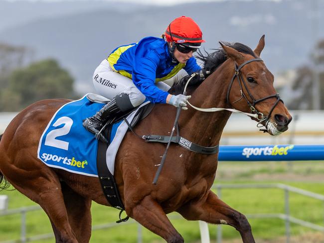 Rochelle Milnes steers Favourite Child to victory at Morphettville Parks on Saturday. Picture: Makoto Kaneko