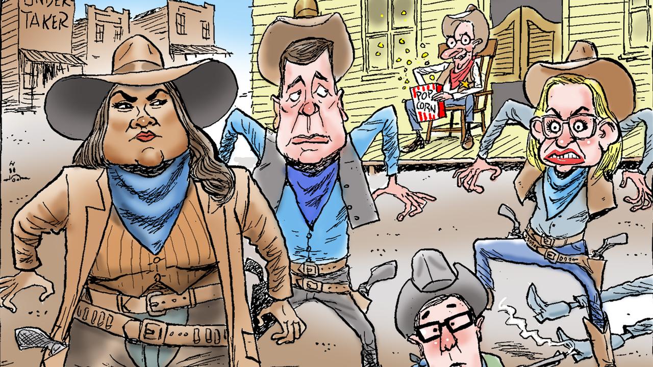Pioneer wins Libs’ leadership duel