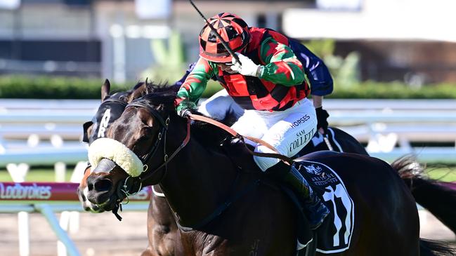 Tectonic Plate dashes home to victory in the Open Handicap at Eagle Farm. Picture: Grant Peters/Trackside Photography