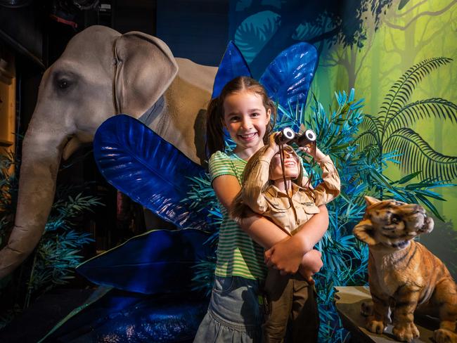 The Irwin family – Terri, Bob and Bindi – star in the windows. Picture: Jake Nowakowski