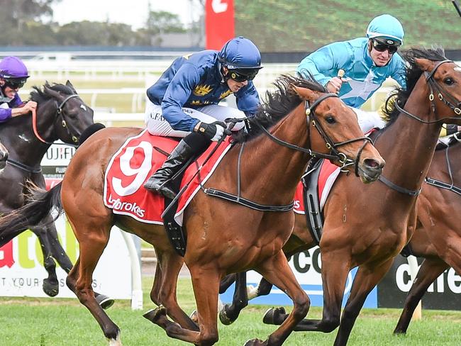 Kicking King ridden by Neil Farley wins the Multidrive Technology Maiden Plate at Geelong Racecourse on November 09, 2024 in Geelong, Australia. Picture: Reg Ryan/Racing Photos