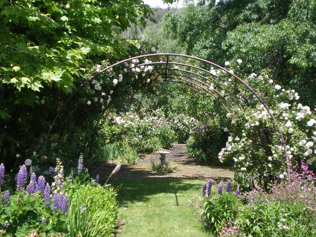 Rosedown Garden For WAP Open Garden 28 Feb Image supplied