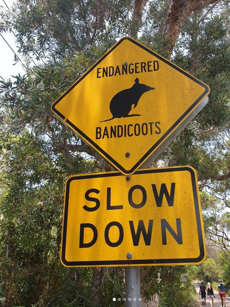 10 Aussie road signs with highest likes via Right2Drive. Picture: Instagram