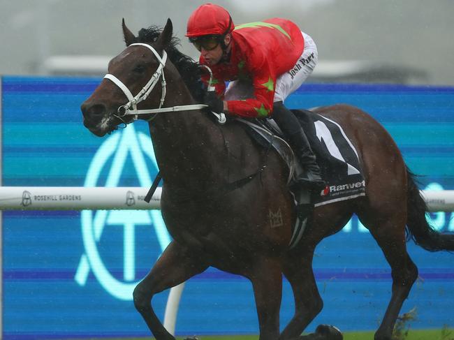 SYDNEY, AUSTRALIA - JUNE 01: Josh Parr riding Emirate wins Race 2 Ranvet Handicap during Sydney Racing at Rosehill Gardens on June 01, 2024 in Sydney, Australia. (Photo by Jeremy Ng/Getty Images)