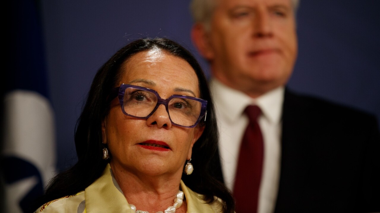 ‘Wish her the best’: Linda Burney to retire from politics