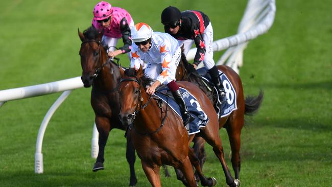 Party Boss is a son of 2020 Golden Slipper hero Farnan