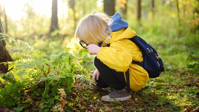 Curiosity is aligned with life itself – if we don’t have curiosity we never progress. Picture: istock