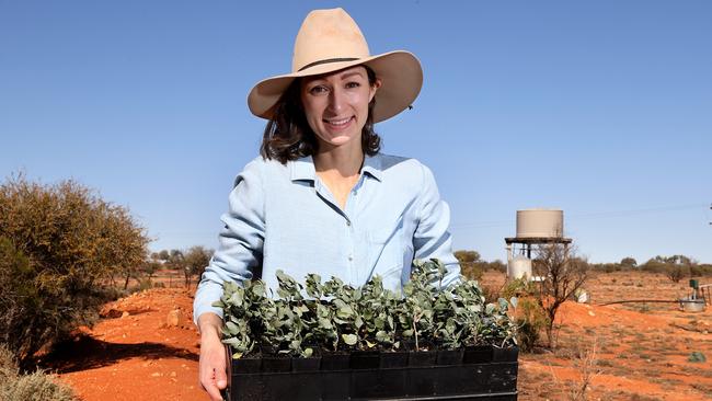 Broken Hill farmer and scientist Anika Molesworth, seen here holding a tray of saltbush seedlings, is part of a new generation of farmers focused on climate change and sustainability. Picture: Toby Zerna