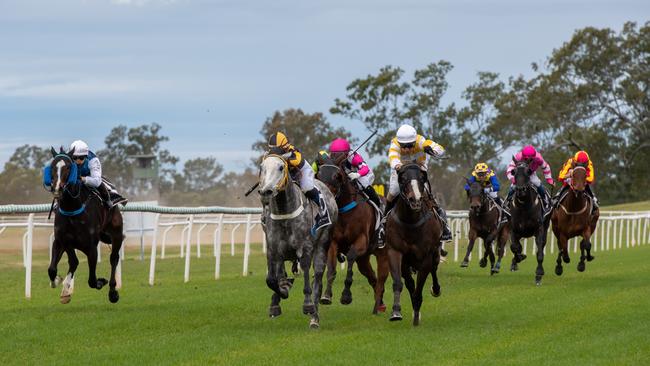 Lockyer Valley Turf Club Gatton Cup day, race three Grey Noise (trained by Caroline Allardyce)Saturday, June 26, 2021. PHOTO: Ali Kuchel
