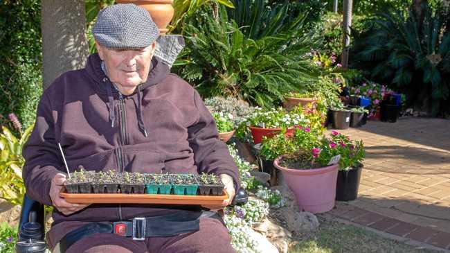 NEW GROWTH: Tabeel resident and gardening guru Allen Goos holds a tray of seedlings from his award winning gardening patch he maintains at Tabeel. Picture: Dominic Elsome