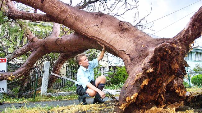 Mitchell Matthews (13) with a tree uprooted in Rockhampton by winds caused by Cyclone Beni.