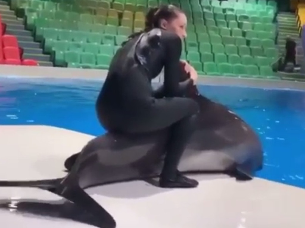 A dolphin trainer in Dubai has been blasted for sitting on top of one of the animals