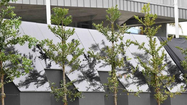 The glass panels on the boundary at the mega mansion on Wilson Ave, Dicky Beach. Picture: Patrick Woods.