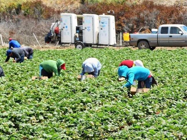 NQ Powertrain is accused of illegal wage deductions of nearly $50,000 from overseas fruit pickers.