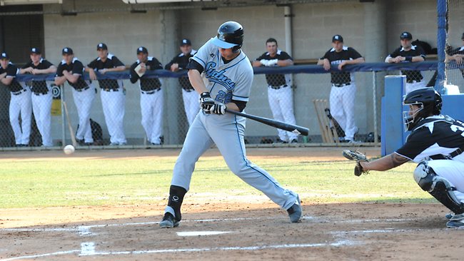 Sydney Blue Sox - Due to overwhelming support and