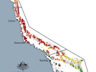 ‘Devastating’ Great Barrier Reef report