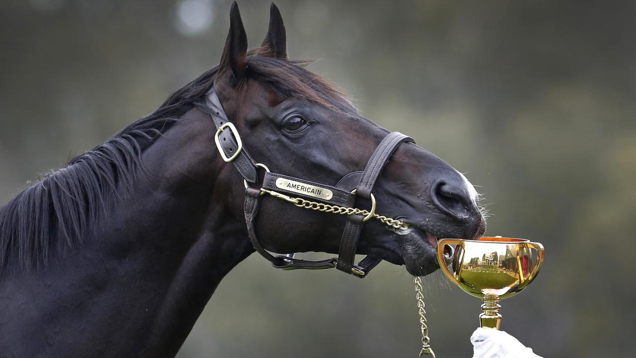 Americain meets the 2013 Melbourne Cup