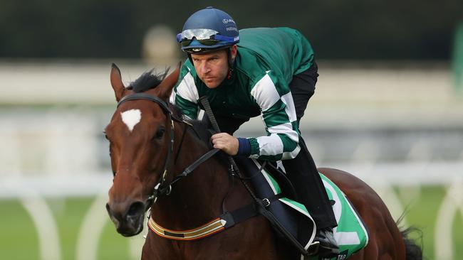 Valuable mare Place Du Carrousel will make her Melbourne debut in Saturday’s Group 1 Underwood Stakes at Caulfield. Picture: Getty Images.