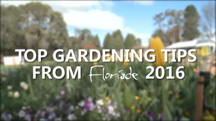 Top Gardening Tips from Floriade