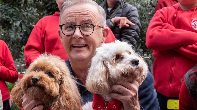 A whopping 66 per cent of Victorians say they think Anthony Albanese is going to win the next election. Picture: Wendell Teodoro/AFP