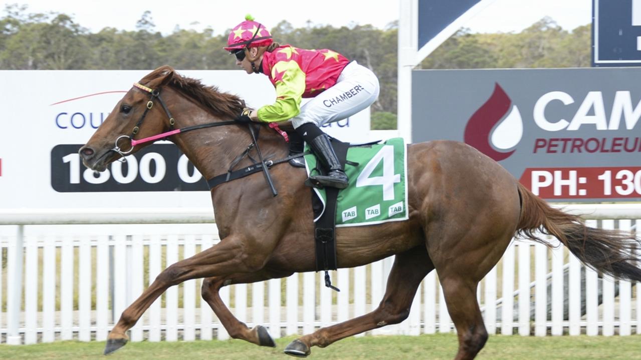 Discreet Miss can win the Belle Of The South at Nowra. Picture: Bradley Photos