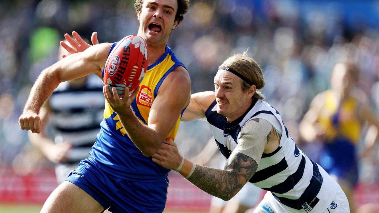 Having Tom Stewart back is huge for the Cats. Picture: Getty Images