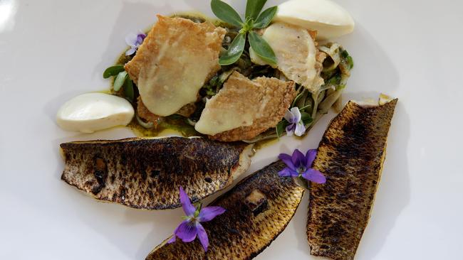 Coorong yellow mullet, one of many dishes which have been served at the pavilion. Picture: Annika Enderborg