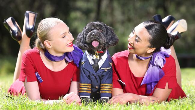 Virgin Australia announcement. Virgin Australia signals intent to launch nation's first-ever pets in cabin flights. Picture: Alex CoppelThursday 7 March 2024: Virgin Australia has announced its intention to be the country’s first airline to operate flights with pets onboard under a plan unveiled today. The Australian-first service, which will have pet-lovers rejoicing around the nation, is subject to regulatory approval, and is expected to launch within 12 months.Escape 17 March 2024NewsPhoto - Alex Coppel