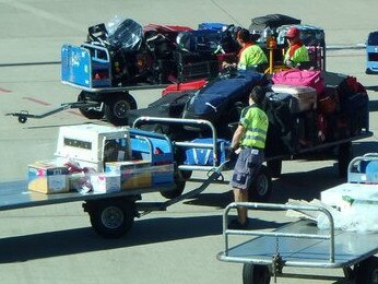 A border collie in an airline-approved crate about to be placed in the temperature-controlled cargo hold of a plane in Brisbane. Picture: Jodie O'Brien