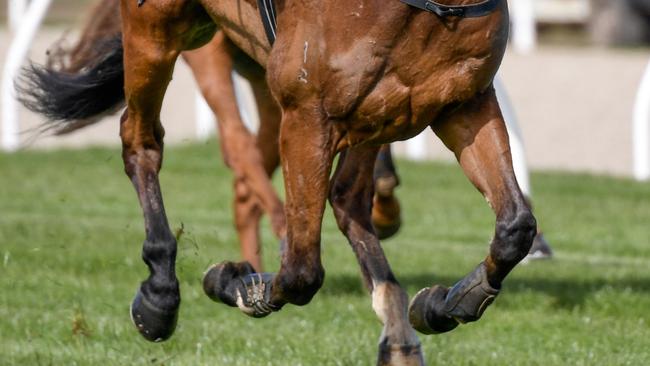 Firefree ridden by Tom Ryan wins the A1 signage Gotta Take Care Hurdle at Sportsbet-Ballarat Racecourse on August 25, 2019 in Ballarat, Australia. (Reg Ryan/Racing Photos via Getty Images)