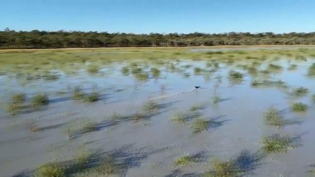 Footage of Queensland's newest national park The Lakes