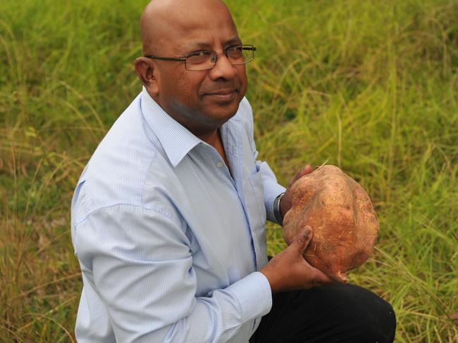 Lawrence Machado discovered a giant sweet potato in his home veggie patch. Picture: Jake McCallum