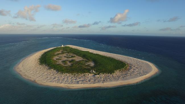 Raine Island. Image courtesy: Great Barrier Reef Foundation/Biopixel