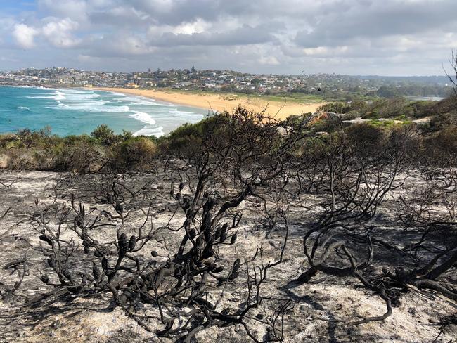 The aftermath of the planned burn-off.