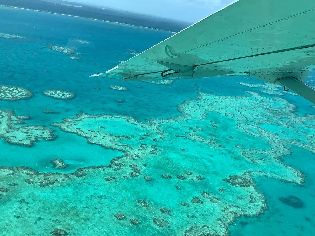 Coral bleaching on the Great Barrier Reef. The oceans around Australia are acidifying and have warmed by around one degree since 1910, according to the State of the climate report. Picture: James Cook University/AFP