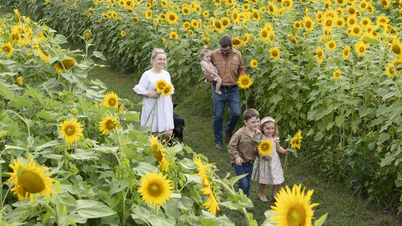 Emma and Pat Storey with kids (from front) Elsie, Jack and Pippa with dog Boots as Ten Chain Farm prepare for their sunflower day, Wednesday, February 21, 2024. Picture: Kevin Farmer