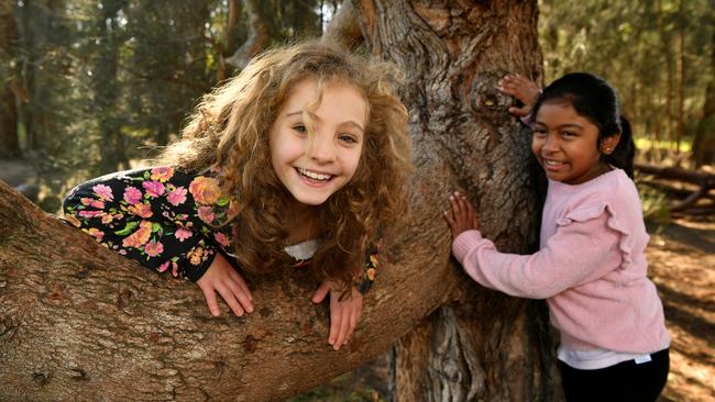 Eloisa Tilbury (9) and Rita Vontimitta (8) pose for a photo in the trees at Asquith Park, Sydney, Wednesday, July 11, 2018. (AAP Image/Joel Carrett)