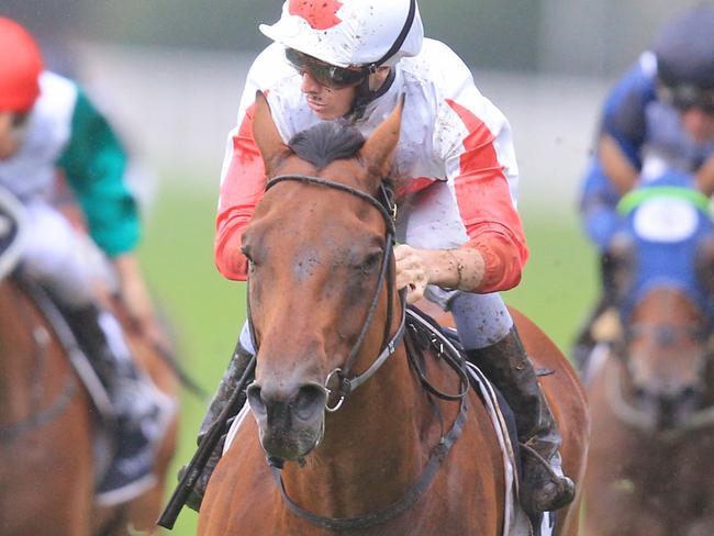 Astronomos ridden by Jason Collett wins race 9 during Royal Randwick races in Sydney.  Pic Jenny Evans