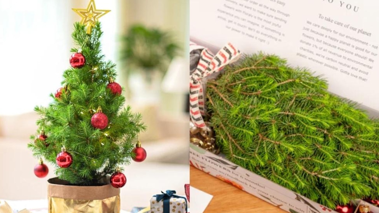 12 Best Christmas Trees To Buy Online In Australia 2022