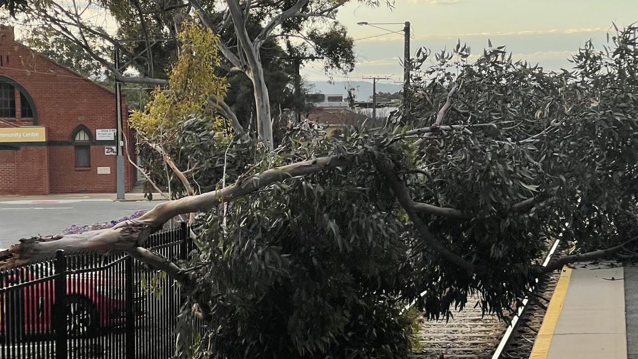 Adelaide and SA spring forecast Warm weather before deluge The
