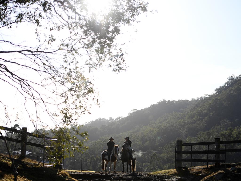 Horse riding in Glenworth Valley.