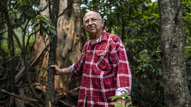 Fritz Michelin, 75, left, says green groups are wrong to cheer the mill’s destruction. Picture: Sean Davey.